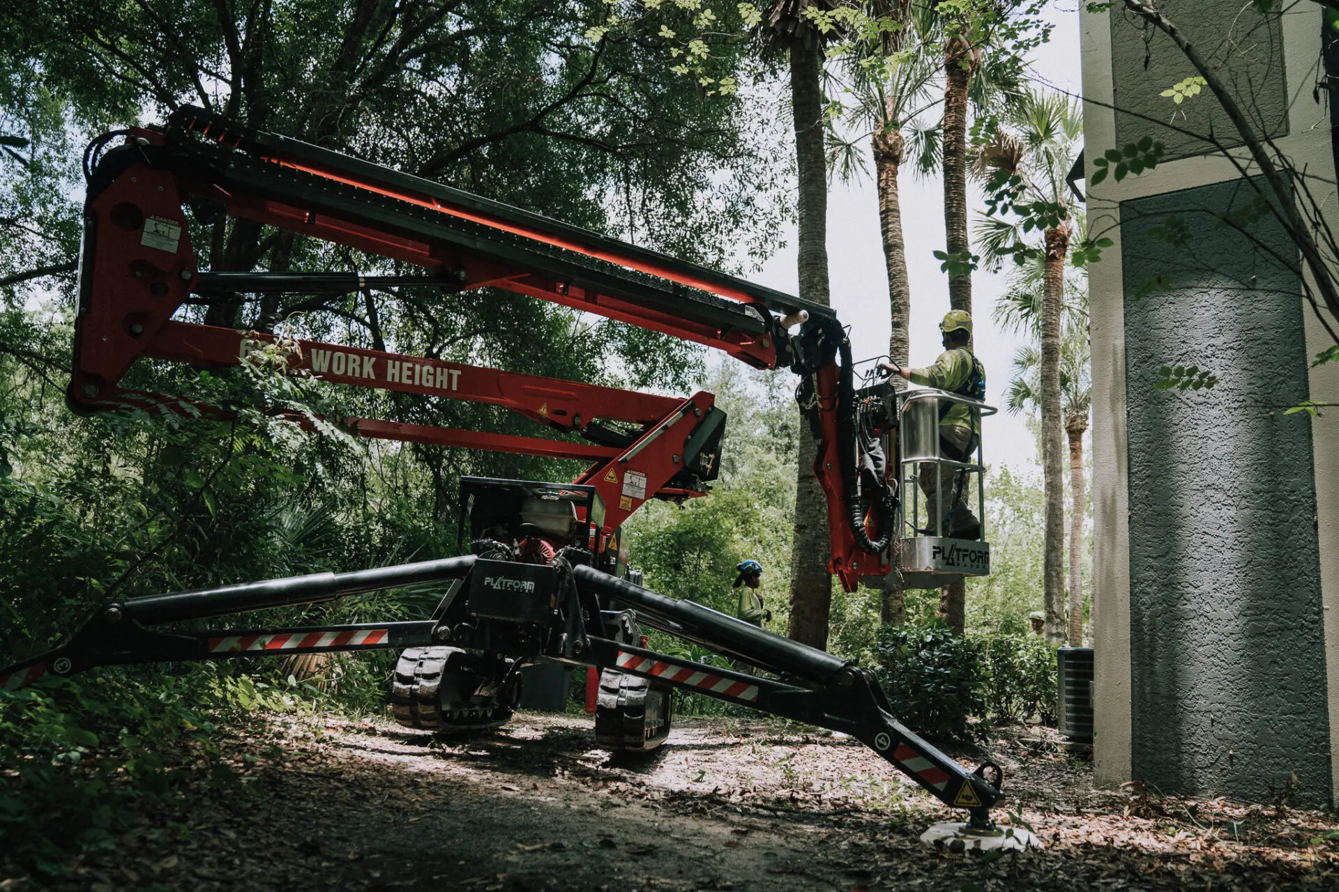 Arbor Source Professional Tree Care