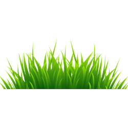 Artificial Grass Newcastle Experts