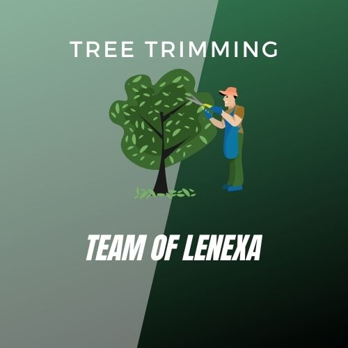 The Lenexa Tree Trimming Team