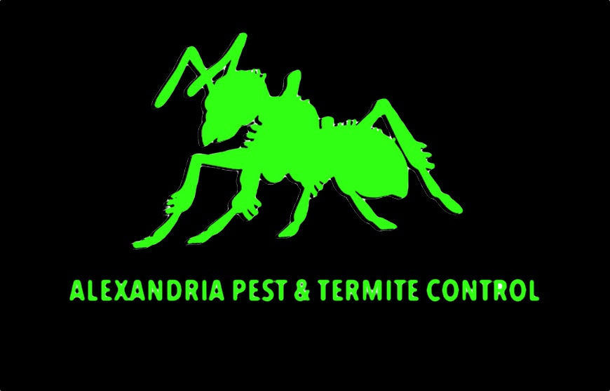 Alexandria Pest Control VA