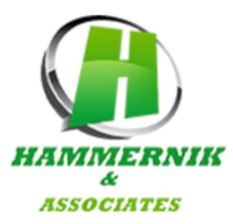 Hammernik & Associates