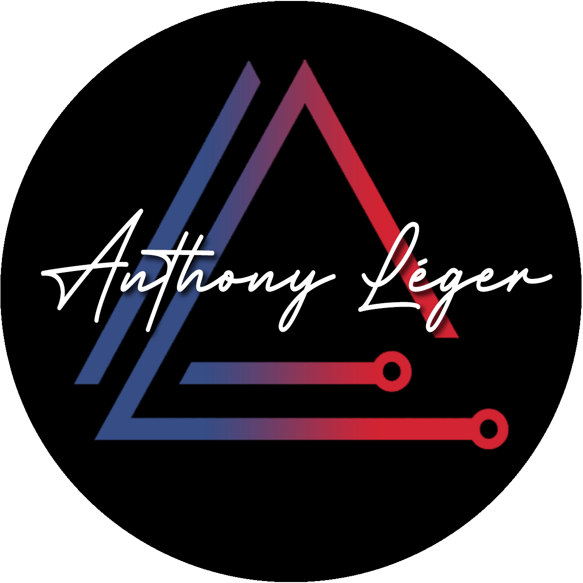 Anthony Léger - Consultant Marketing