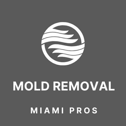 Mold Removal Miami Pros