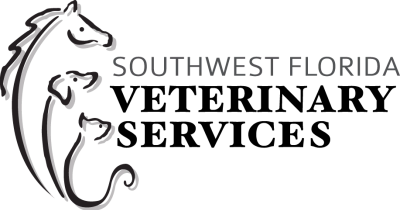 Southwest_FL_Vet_final_logo-85d73ee8.png