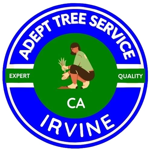 Tree_Service_Irvine__CA-nobg-.jpg