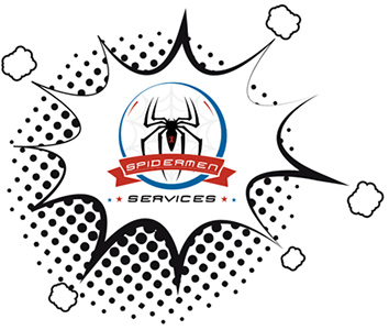 Spidermen Services