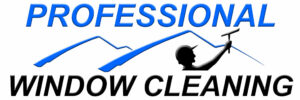 Professional Window Cleaning