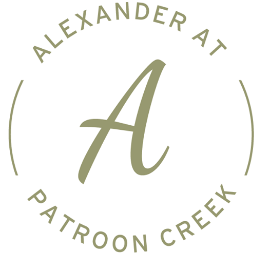 Alexander at Patroon Creek