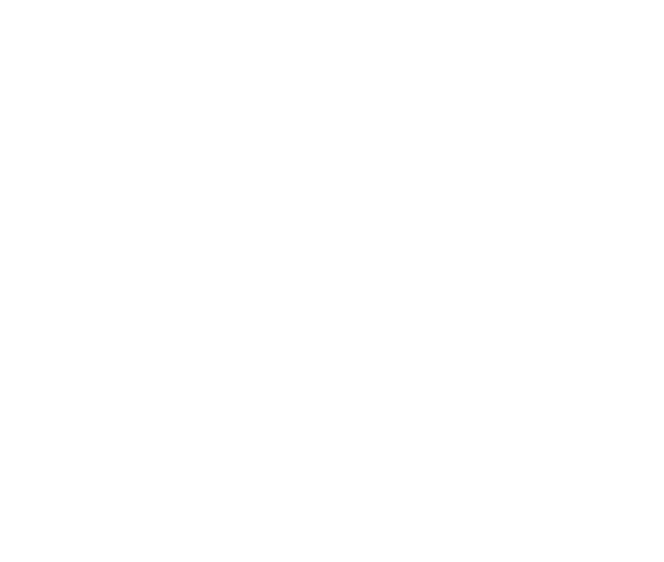 Hummingbirds.png