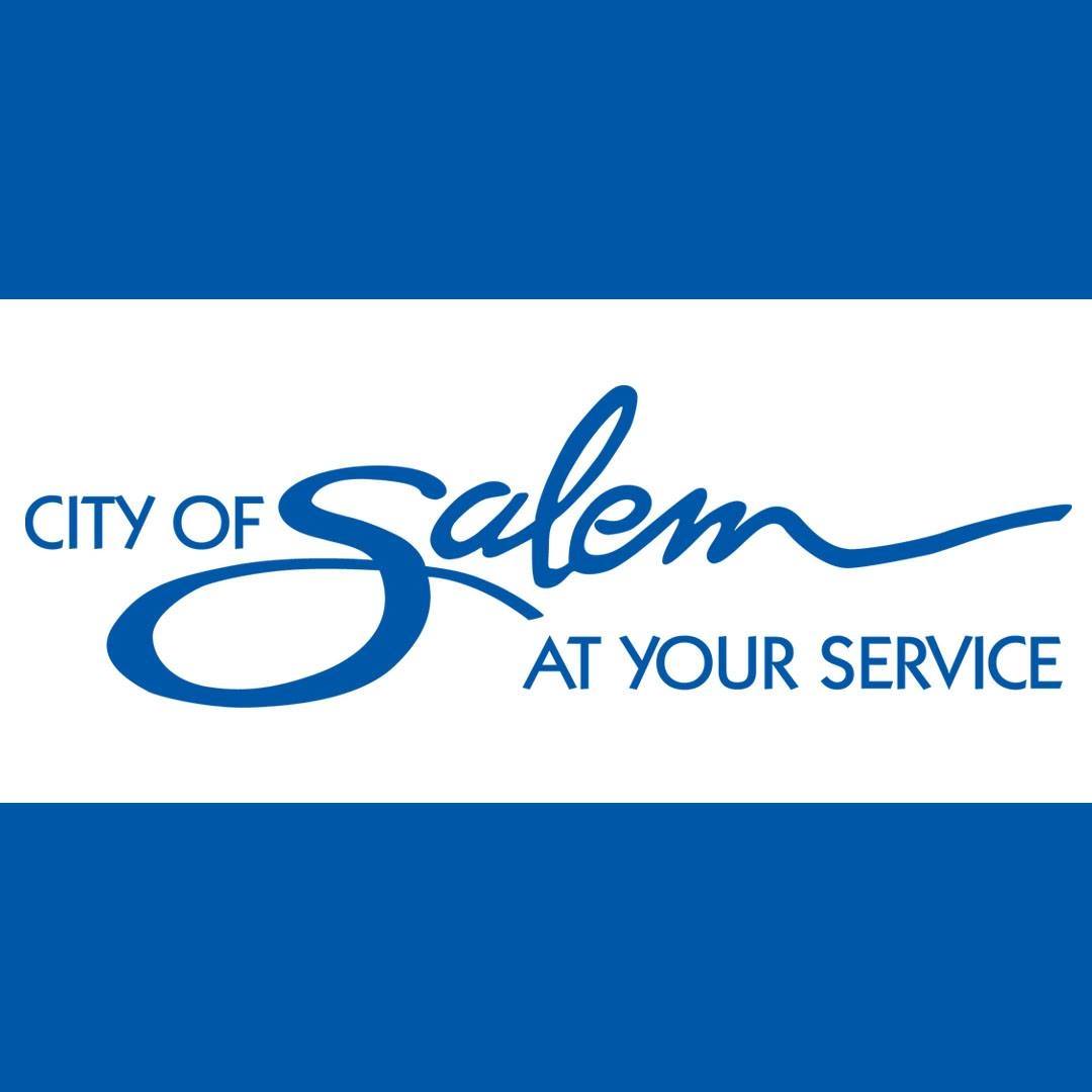 Salem Local School Government