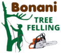 Bonani-Tree-Felling-2.png