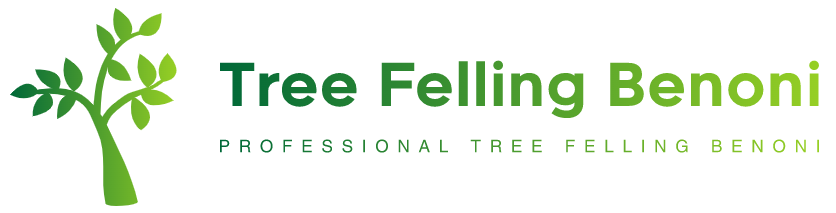 Tree-Felling-Benoni-Logo.png