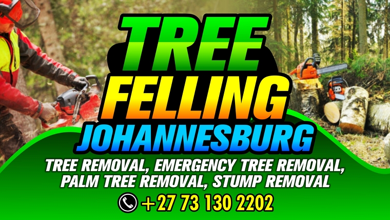 Tree-Felling-Johannesburg.jpg