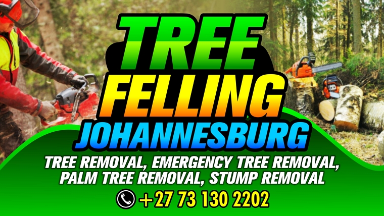 Tree Felling Johannesburg