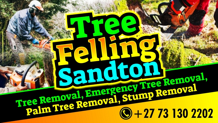Tree-Felling-Sandton.jpg