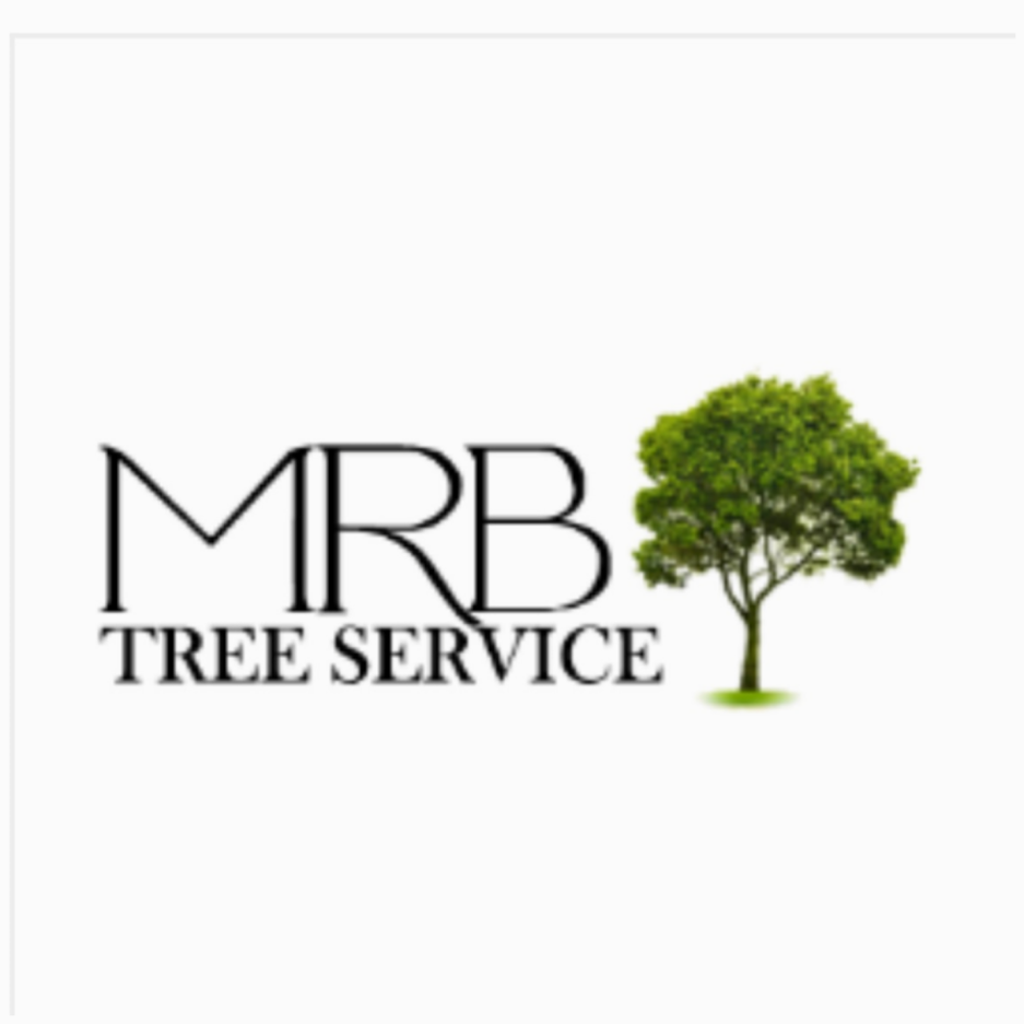 MRB Tree Service - Centervile, OH