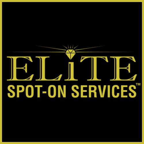 Elite-Spot-On-Services-Logo.jpg