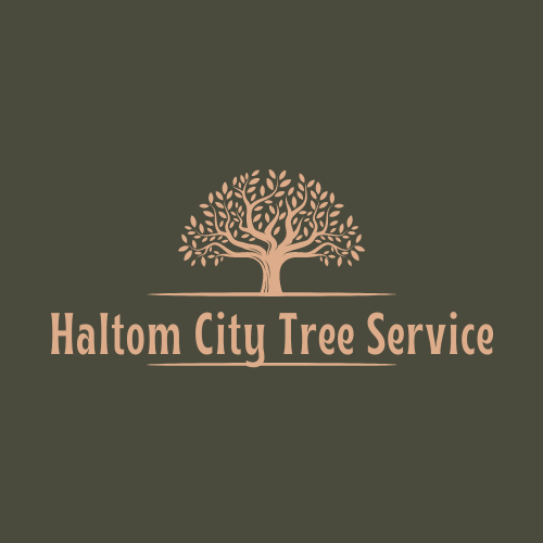 Haltom City Tree Service