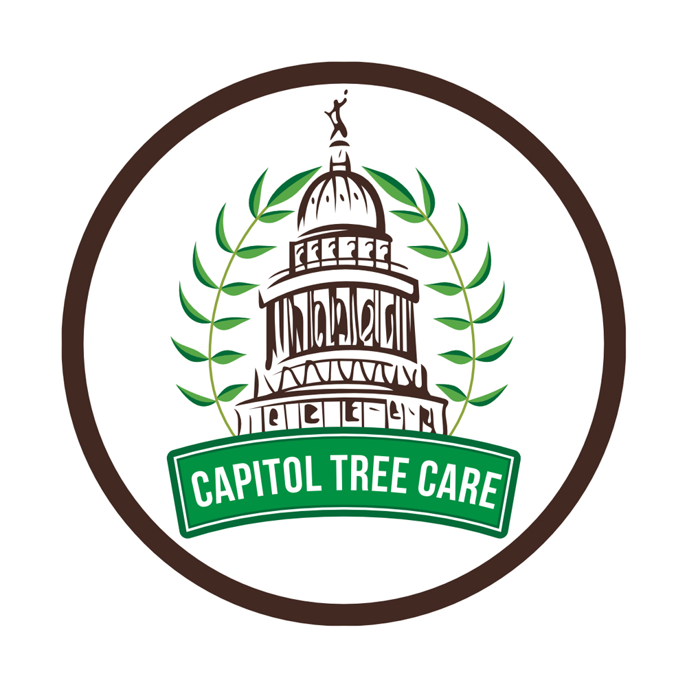 Capitol Tree Care