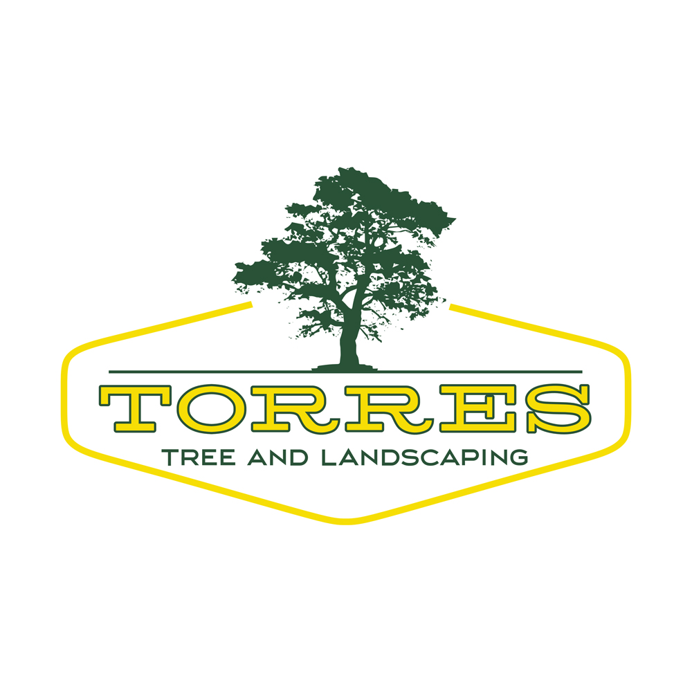 Torres Tree Service and Landscaping