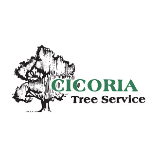 Cicoria Tree and Crane Service, Inc.