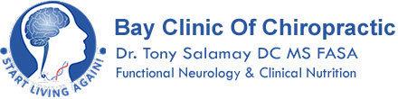 Bay Clinic of Chiropractic