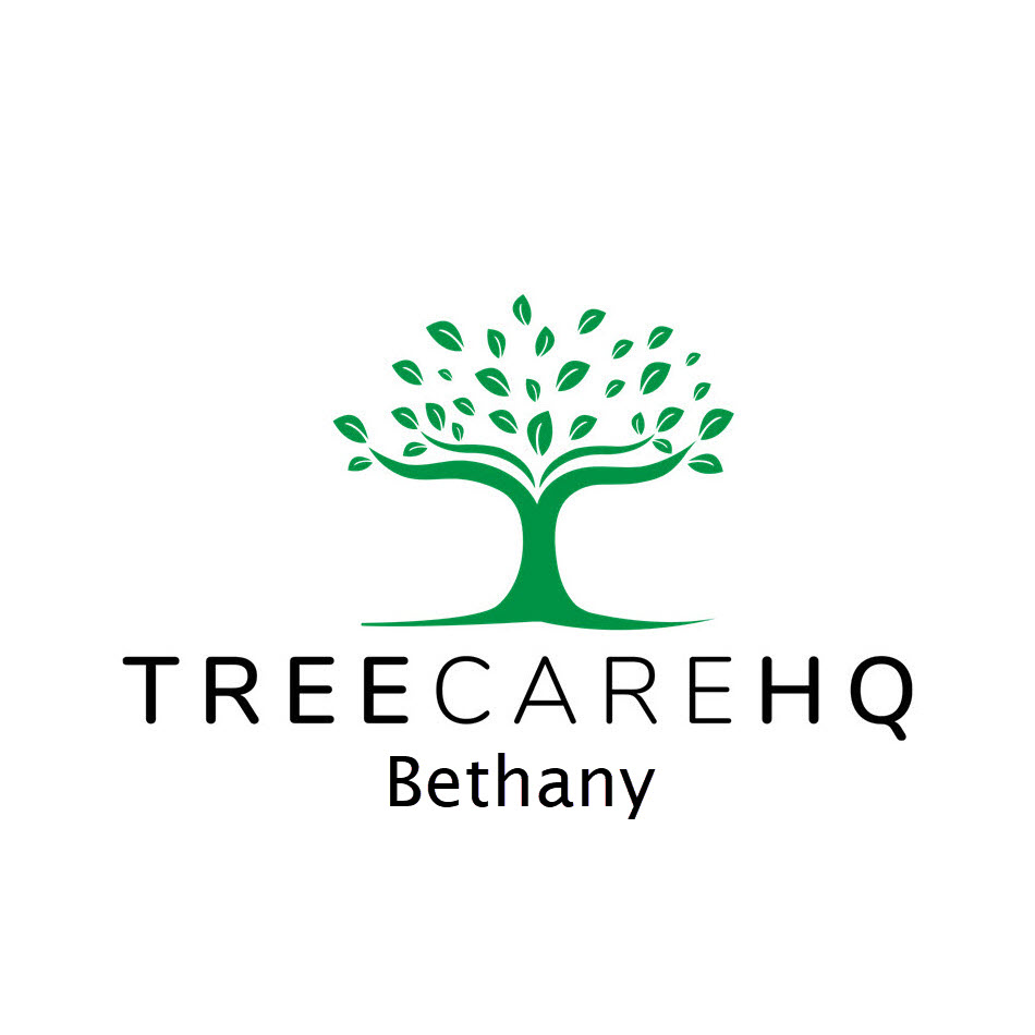 TreeCareHQ Bethany