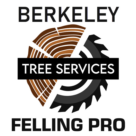 Berkeley Felling Pro