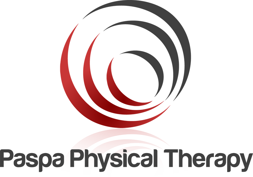 paspa-pt-logo.png