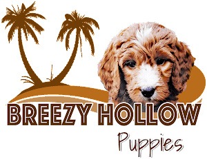 BreezyHollow-Logo.jpg