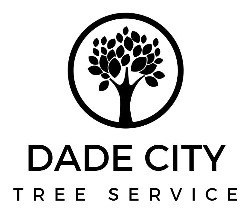 Black-logo-cropped-1.png Black-logo-cropped-1.png