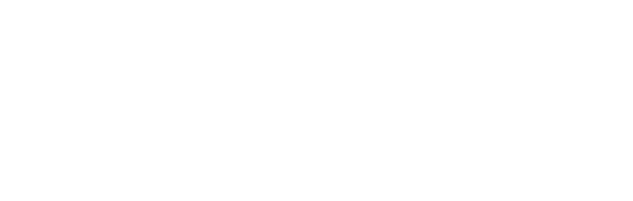 Punta Rassa Roofing