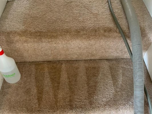 Maidstone Carpet Cleaning