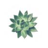 Contoured-logo-100x100-1.png