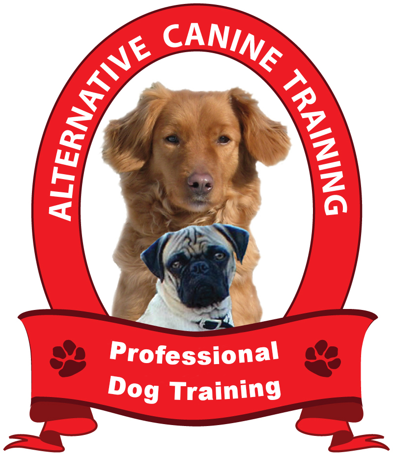 Alternative Canine Training