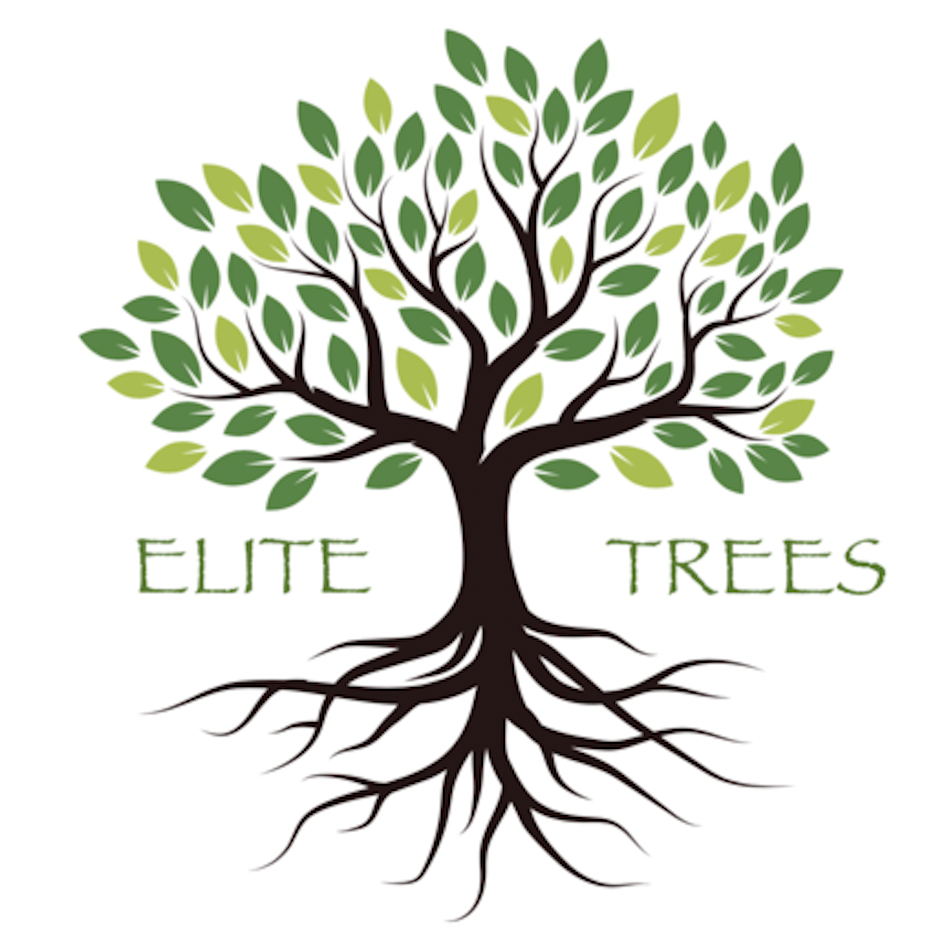 elite-tree-removal-of-columbia-logo.png