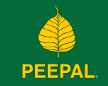 Peepal Estate & Letting Agents Swindon