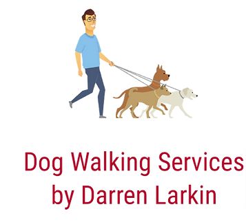 Dog Walking Services by Darren Larkin