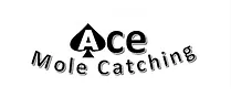 Ace Mole Catching - Pest Control Hemsby