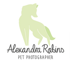 Alexandra Robins Pet Photographer