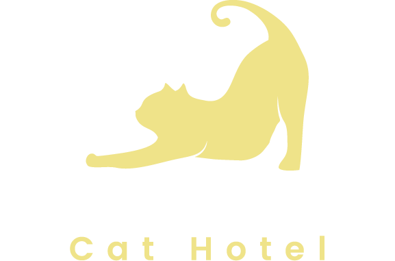 Leigh Luxury Cat Hotel