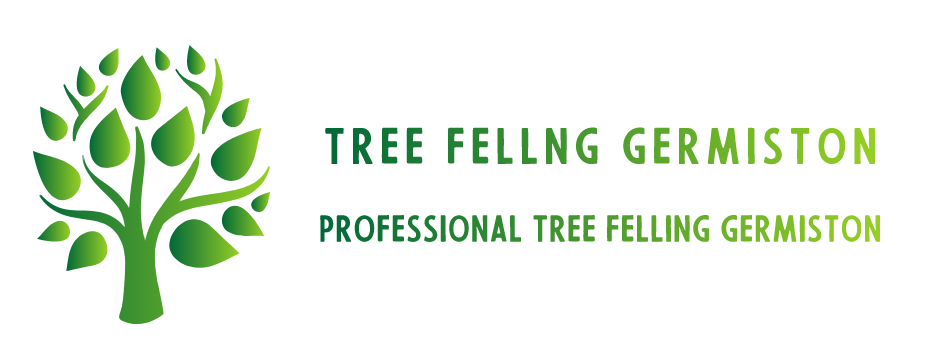 Logo-Tree-Felling-Germiston-1.png