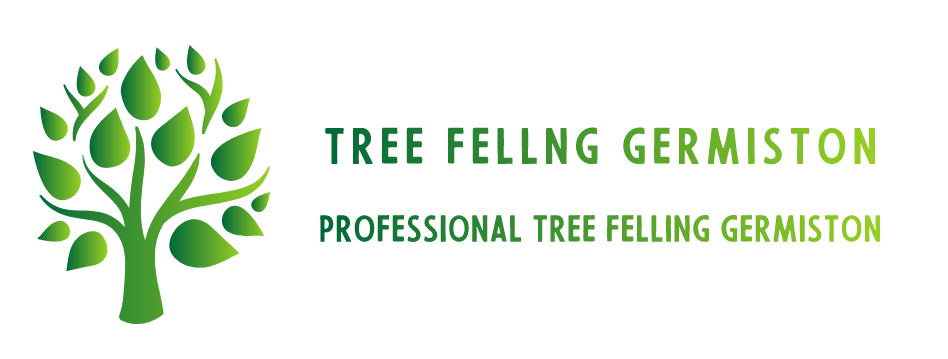 Tree Felling Germiston