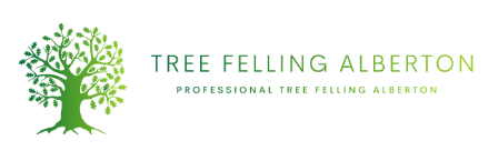 Tree-Felling-Alberton.png