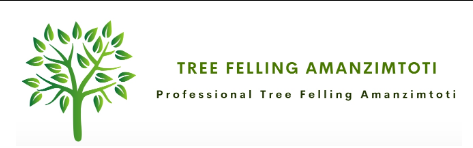Tree-Felling-Amanzimtoti.png