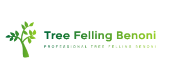 Tree Felling Benoni