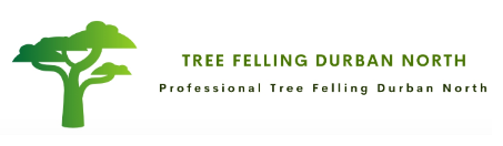 Tree Felling Durban North