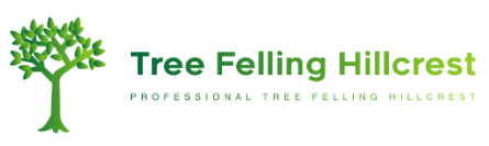 Tree Felling Hillcrest