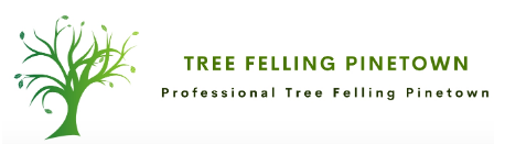 Tree-Felling-Pinetown.png