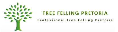 Tree-Felling-Pretoria.jpg